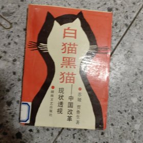 白猫黑猫:中国改革现状透视