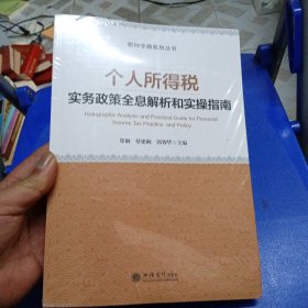 个人所得税实务政策全息解析和实操指南