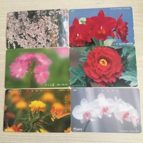 日本电话卡花卉六种