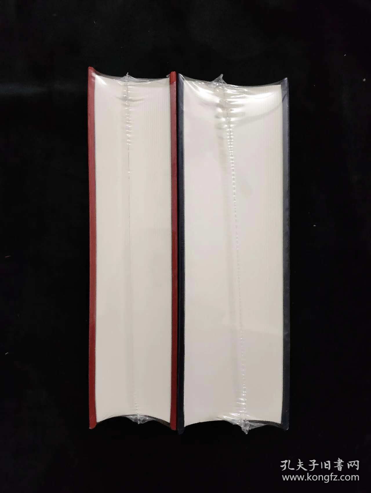 刘海粟年谱长编+刘海粟辞典 2册合售