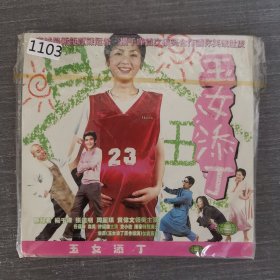 1103影视光盘VCD：玉女添丁 二张光盘简装