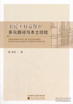 农民工权益保护：多元路径与本土经验