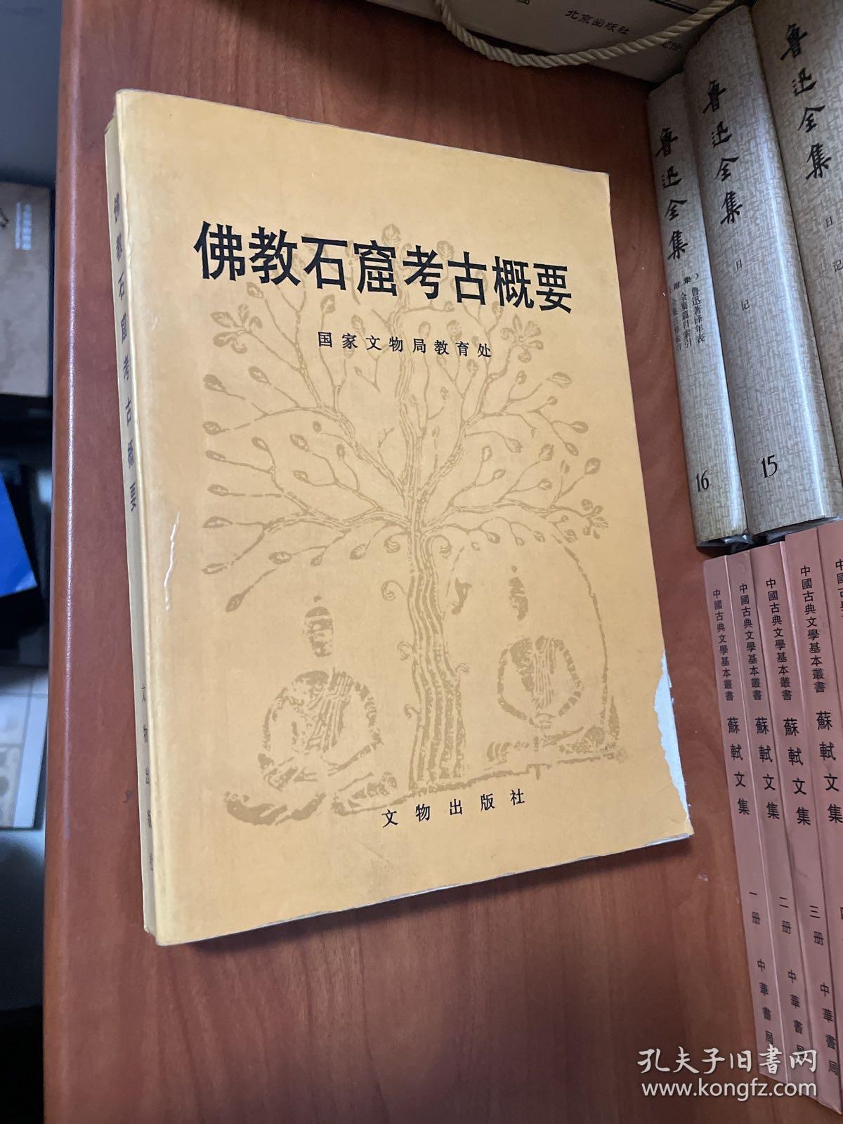 佛教石窟考古概要 见图