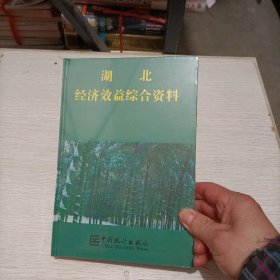 湖北经济效益综合资料