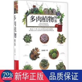 多肉植物图鉴