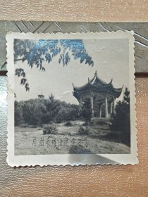 老照片：芜湖市赭山公园（约上世纪五六十年代，泛银）