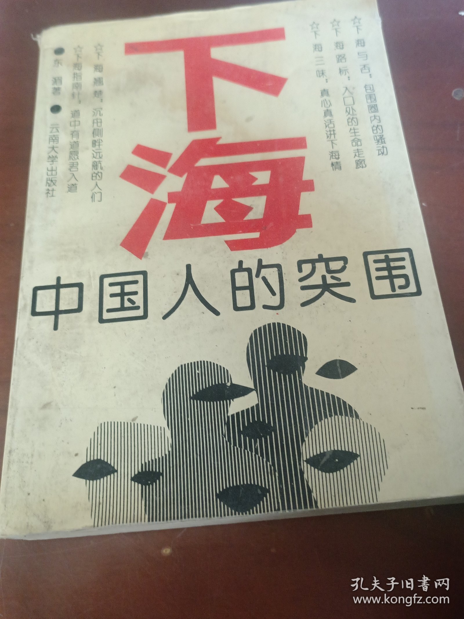 下海一中国人的突围。