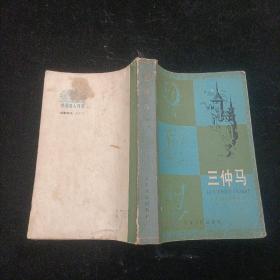 三仲马   (法)阿莫鲁阿 天津人民出版社