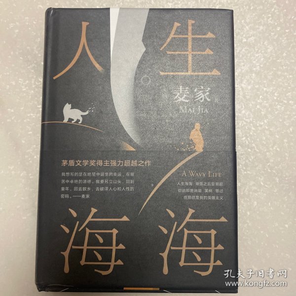 麦家：人生海海（茅盾文学奖得主麦家2019年强力之作）