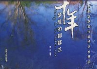 【八五品】 十年：梦里的蝴蝶兰/新概念获奖作者精华文萃3