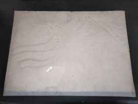 西藏日报 1961年1月 （汉文）