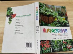 室内观赏植物