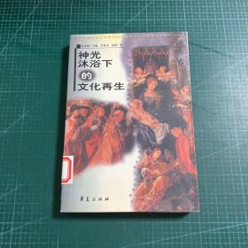 神光沐浴下的文化再生:文明在中世纪的艰难脚步