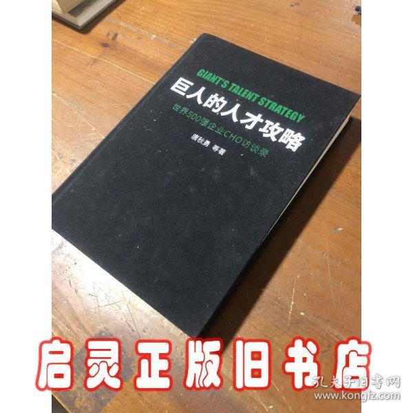 巨人的人才攻略――世界500强企业CHO访谈录