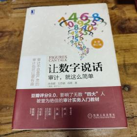 让数字说话：审计，就这么简单