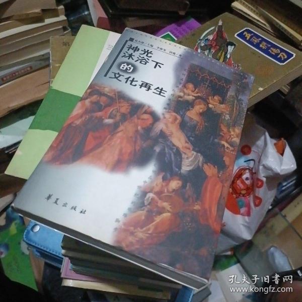 神光沐浴下的文化再生:文明在中世纪的艰难脚步