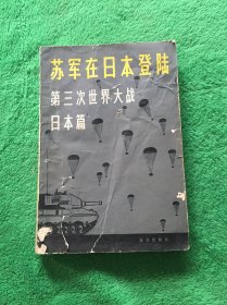 苏军在日本登陆第三次世界大战日本片