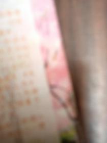 凉生，我们可不可以不忧伤3