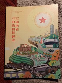 2022湖南省政府预算解读