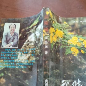 武陵魂