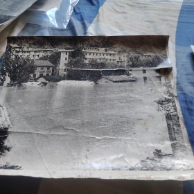 收集汉中史史料的看过来，1984年水淹略阳老照片2张