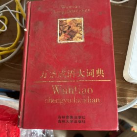 万条成语大词典