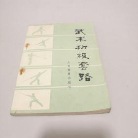 武术初级套路