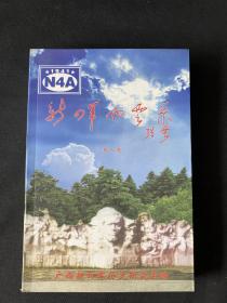 新四军风云录（第三集）