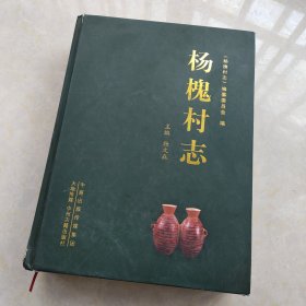 杨槐村志