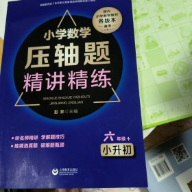 小学数学压轴题精讲精练（六年级+小升初）