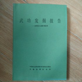 武功发掘报告:浒西庄与赵家来遗址