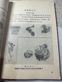 怎样画毛笔画（工农兵业余美术自学丛书）修订本