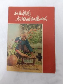 卫生模范太阳村和东四义(50年代像片图册)