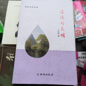 遙遠(yuǎn)的文明----楊凌文學(xué)叢書