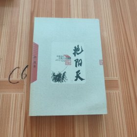 艳阳天（2）