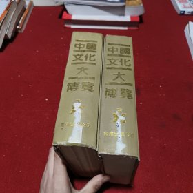 中国文化大博览 中下（两册合售）