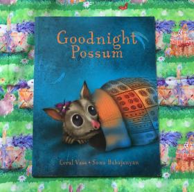 Goodnight possum  平装