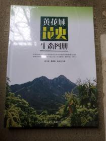 黄花城昆虫生态图册  精装  全新 包装未拆开