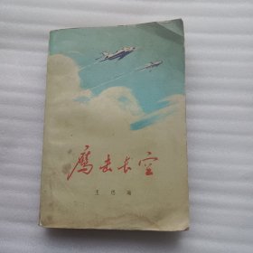 鹰击长空