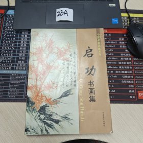 启功书画集