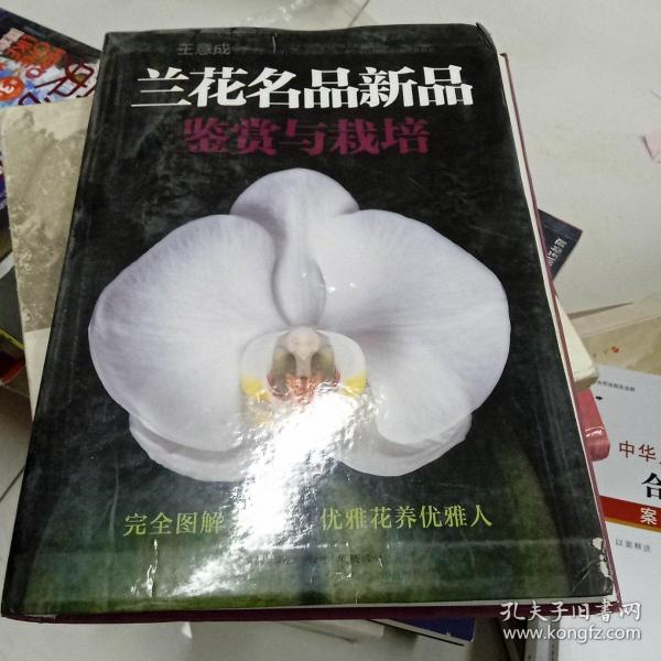 兰花名品新品鉴赏与栽培