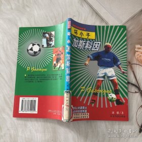 坏小子加斯科因