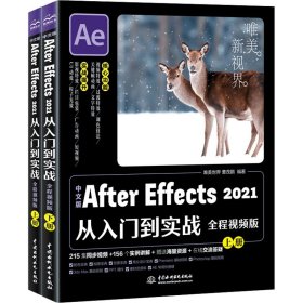 中文版After Effects 2021从入门到实战（全程视频版）（全两册）