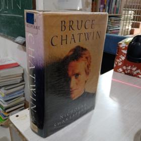 全英文原版人物传记  BRUCE CHATWIN 布鲁斯 查特文  正版二手精装本9781860465444