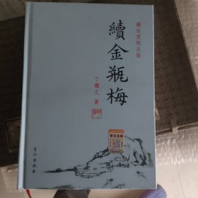 续金瓶梅