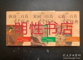 文通版鉴赏系列：唐诗三百首鉴赏辞典+宋词三百首鉴赏辞典+元曲三百首鉴赏辞典（3本合售）