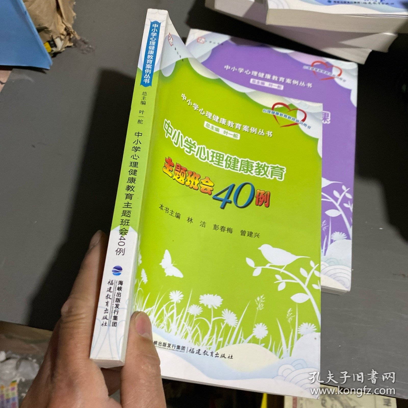 中小学心理健康教育主题班会40例/梦山书系·中小学心理健康教育案例丛书