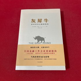 灰犀牛：如何应对大概率危机