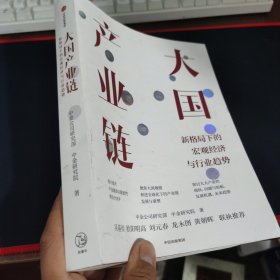 大国产业链 中金公司新作，聚焦大国产业链，探讨新格局下宏观经济与行业趋势 中信出版