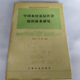 中国农村基层社会组织体系研究